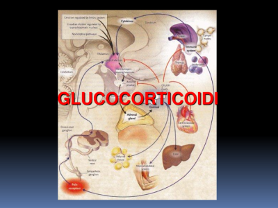 Glucocorticoidi 2016-20172